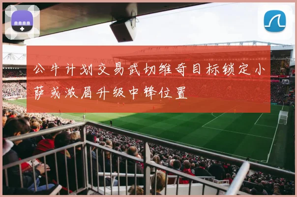 公牛计划交易武切维奇目标锁定小萨或浓眉升级中锋位置