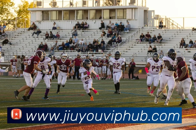 多媒体互动体验